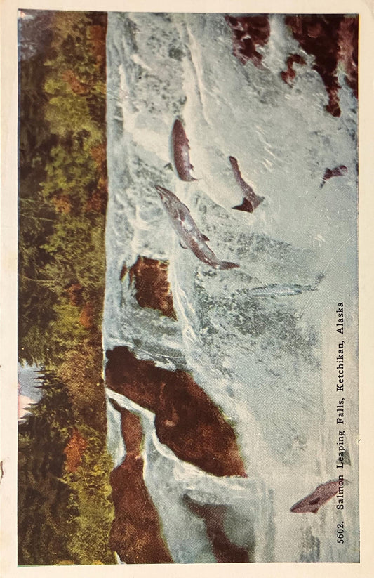 Salmon Leaping Falls - Ketchikan, Alaska - Vintage Postcard