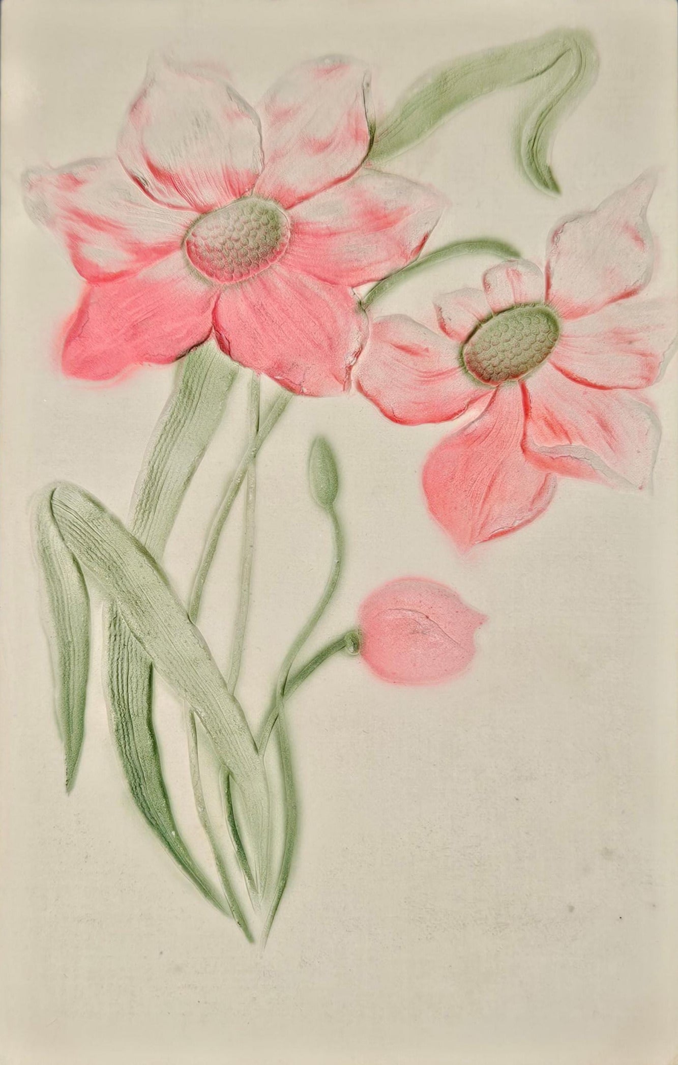 1908 Embossed Postcard - Pink and Green Iris - Spring Postcard