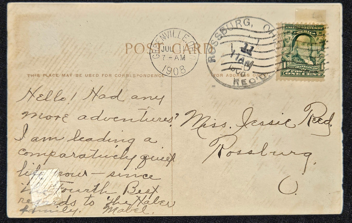 1908 Embossed Postcard - Pink and Green Iris - Spring Postcard