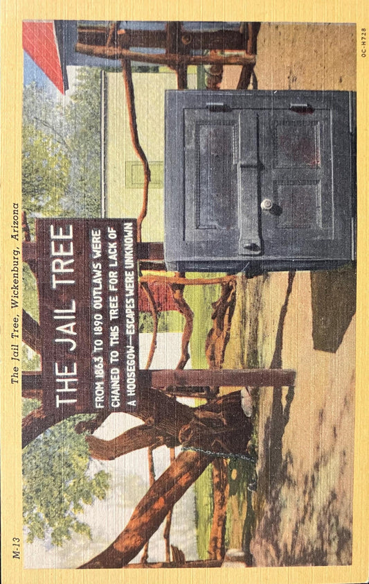 The Jail Tree - Wickenburg, Arizona - 1940s Linen Postcard
