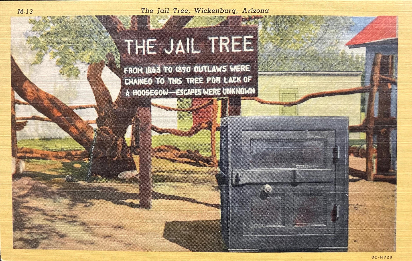 The Jail Tree - Wickenburg, Arizona - 1940s Linen Postcard
