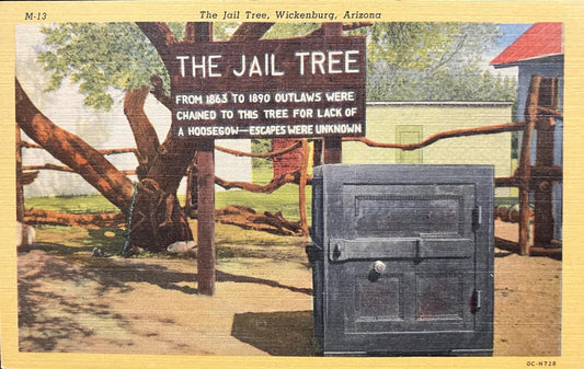 The Jail Tree - Wickenburg, Arizona - 1940s Linen Postcard