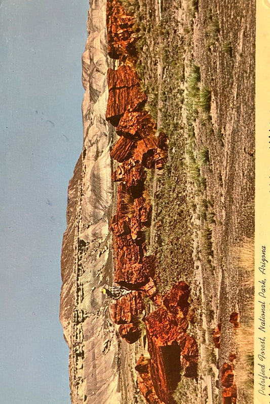 Petrified Forest - National Park - Arizona - Color by Don Kolkmeyer - Vintage Postcard