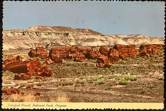 Petrified Forest - National Park - Arizona - Color by Don Kolkmeyer - Vintage Postcard