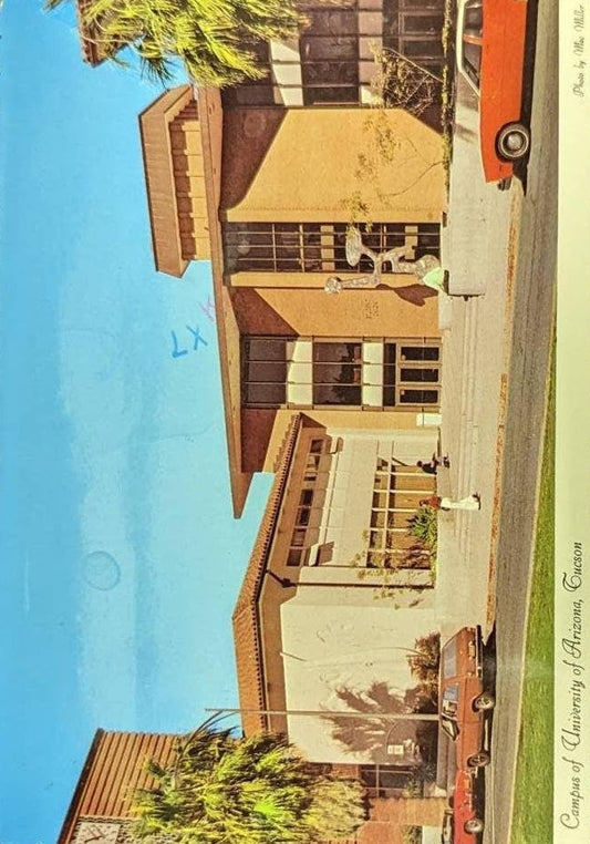 University of Arizona - Vintage Postcard