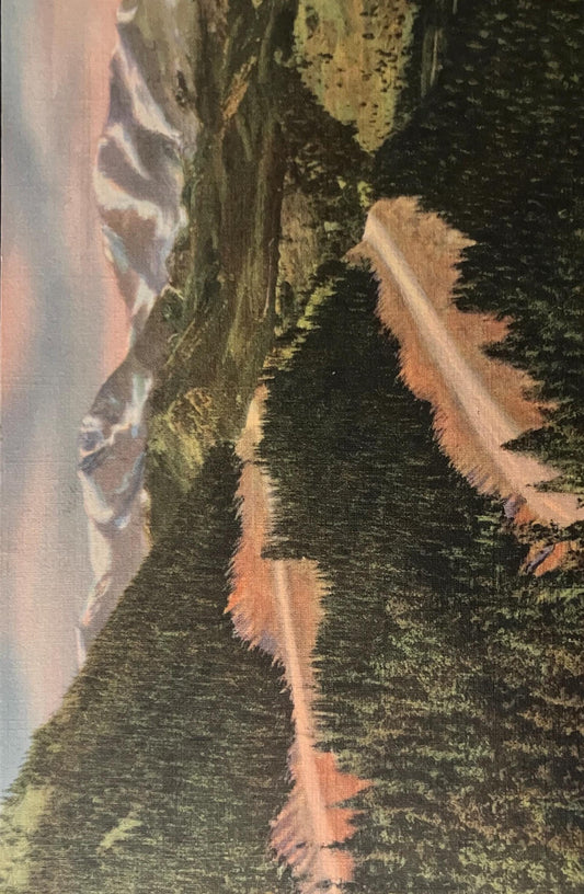 Mt. Ypsilon - Mummy Range - Colorado - Vintage Postcards