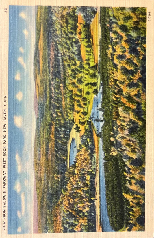 View from Baldwin Parkway - West Rock Park - New Haven, Connecticut - 1940s Linen Postcard