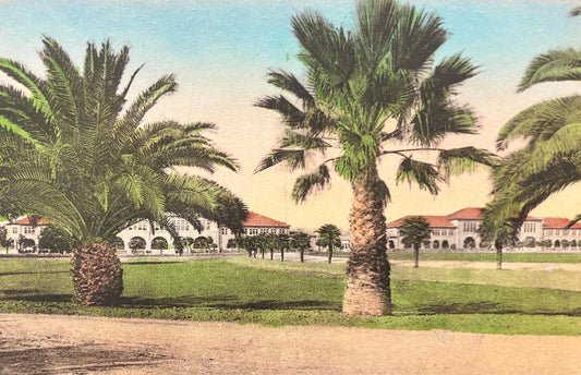 Front View of Stanford University, California - Vintage University Postcard