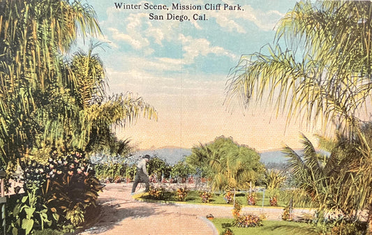 Winter Scene, Mission Cliff Park, San Diego, California - Vintage Postcard