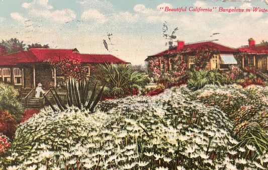 Beautiful California Bungalows in Winter - Vintage Postcard