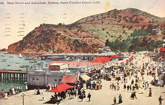 Main Street and Aquarium, Avalon, Santa Catalina Island, California - Vintage Postcard