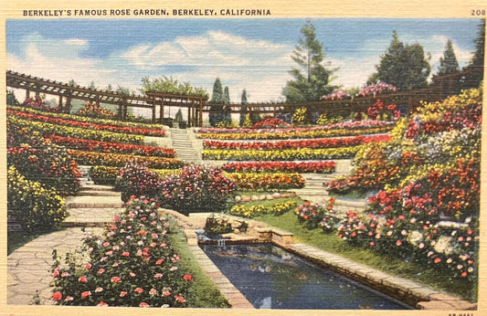 Berkeley’s Famous Rose Garden, Berkeley, California - Vintage Postcard