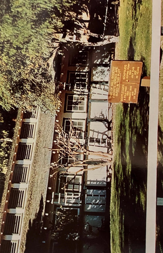 Barn and Stables at Will Rogers State Park - Los Angeles, California - Vintage Park Postcard