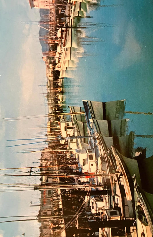 Fishing Fleet in San Francisco, California - Fisherman's Wharf - Vintage Fishing Postcard