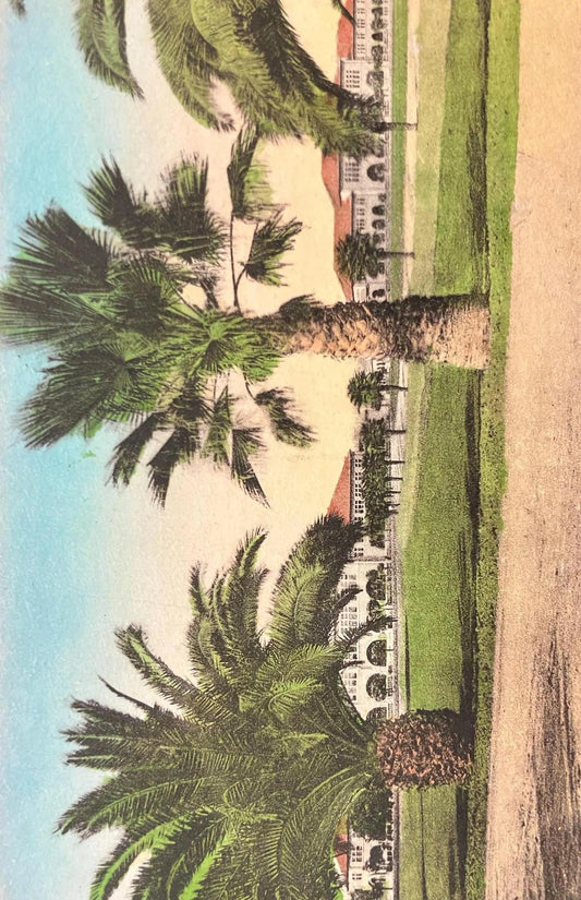 Front View of Stanford University, California - Vintage University Postcard