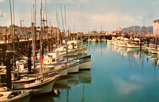 Fishing Fleet in San Francisco, California - Fisherman's Wharf - Vintage Fishing Postcard