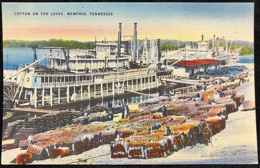 Cotton on the Levee, Memphis, Tennessee - Vintage Boat Postcard