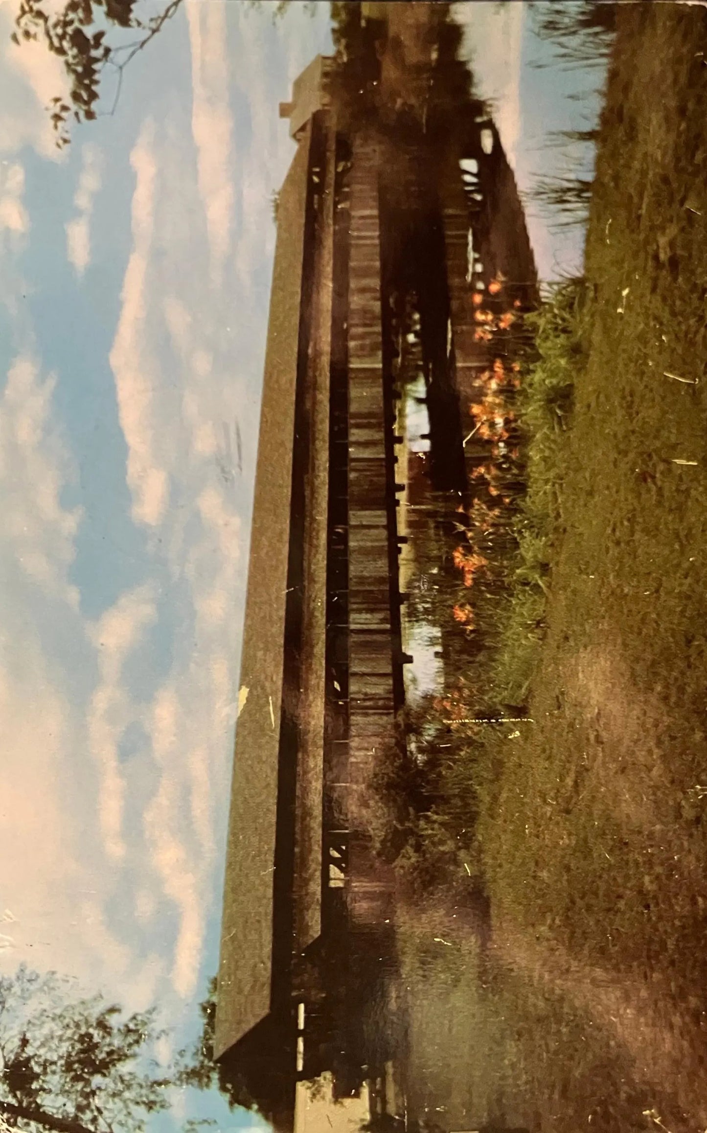 Covered Bridge Double Lane and Pedestrian Walk at Shelburne Museum in Shelburne, Vermont - Vintage 1950s Bridge Postcard
