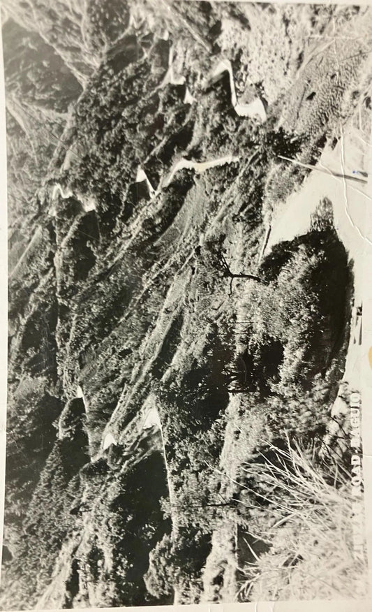 RPPC - Very Curvy Road in Mountain Valley- Baguio, Philippines - Vintage Postcard