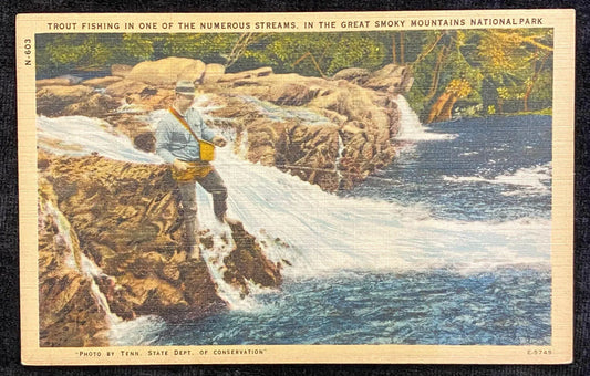 Trout Fishing In One of the Numerous Streams - In The Smoky Mountains National Park - Vintage Postcard