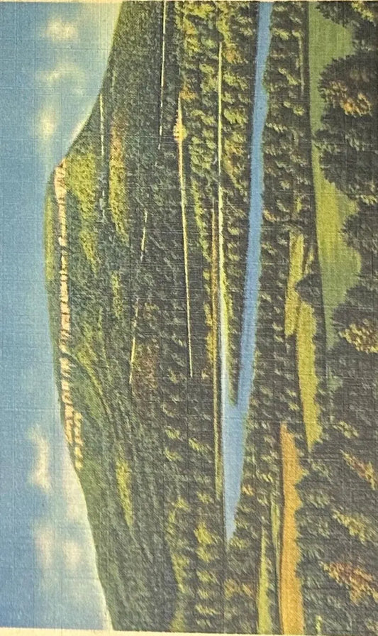 Lookout Mountain - Chattanooga, Tennessee - Vintage Postcard
