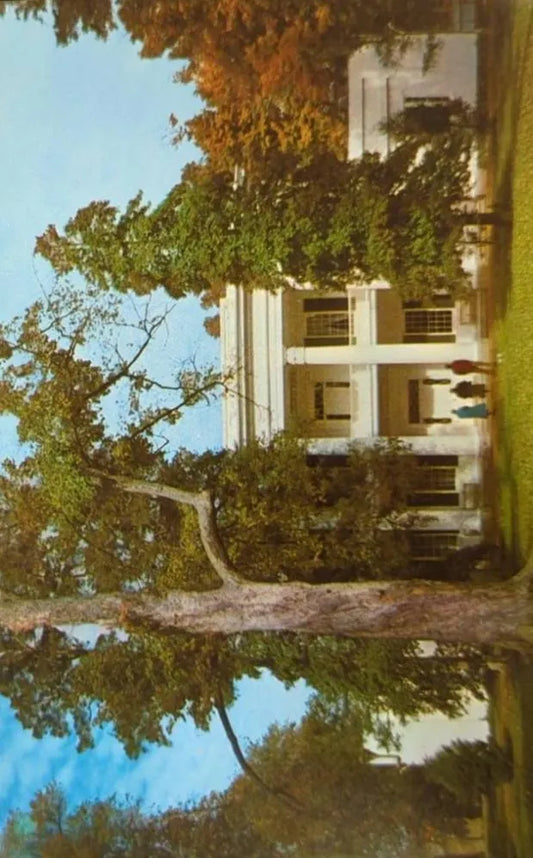 The Hermitage, Nashville, Tennessee - Vintage Postcard