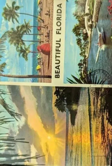 Beautiful Florida - Vintage 1987 Postcard