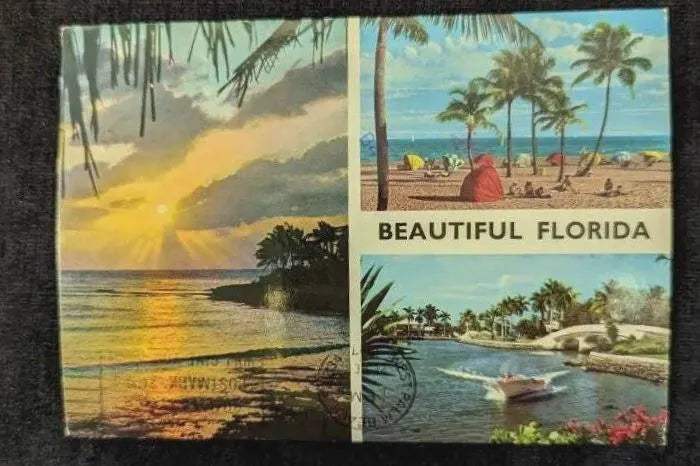 Beautiful Florida - Vintage 1987 Postcard