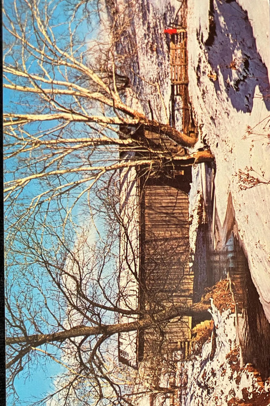 Covered Bridge in Noble County, Ohio - Morris House Bridge - Photo: Anita Knight - Vintage Covered Bridge Postcard