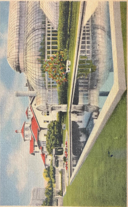 Botanic Garden, Brooklyn, New York - Vintage Postcard