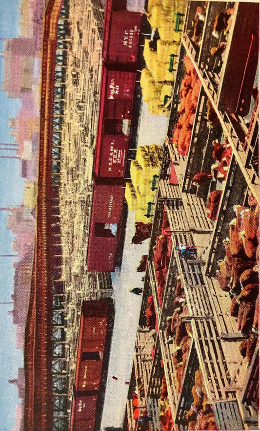 Union Stock Yards, Chicago, Illinois - Vintage Postcard