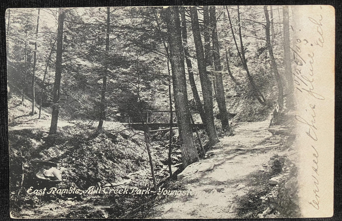 East Ramble, Mill Creek Park - Youngstown, Ohio - Vintage Park Postcard