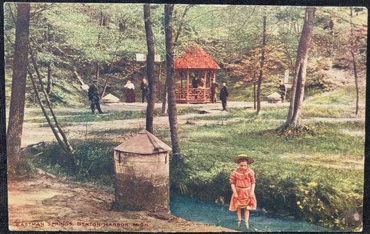 Eastman Springs, Benton Harbor, Michigan - Vintage Postcard