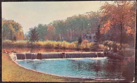 The Dam at Milham Park, Kalamazoo, Michigan - Vintage Park Postcard