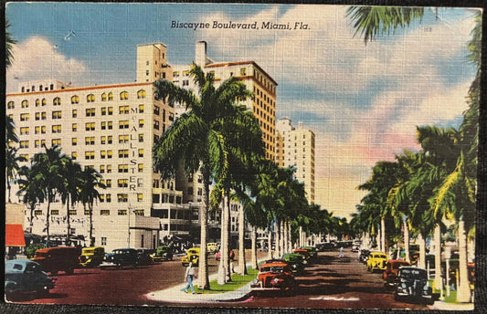 Biscayne Boulevard, Miami, Florida - Vintage Linen Postcard