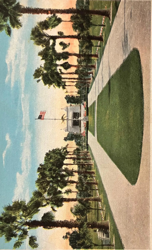 New Band Shell, Bayfront Park, Miami, Florida - Vintage Park Postcard
