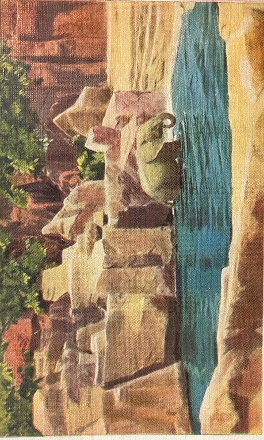 Elephant, Brookfield Zoo, Chicago - Illinois - Zoo Postcard