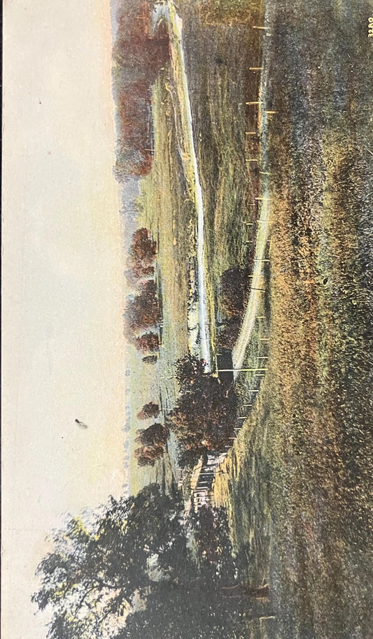 View looking North-east from Bluff at north end of Moss Ridge Cemetery, Carthage, Illinois - Made in Germany - Vintage Cemetery Postcard