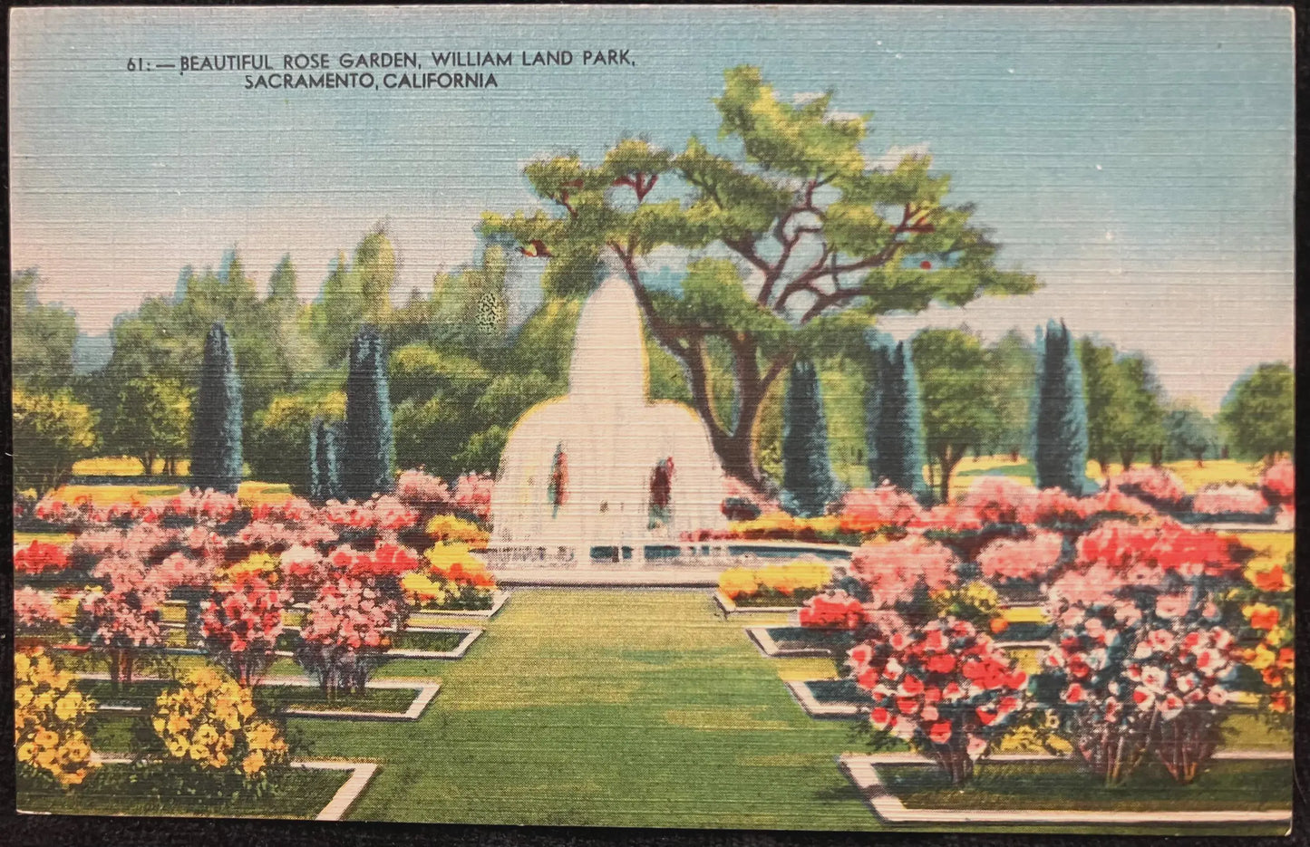 Beautiful Rose Garden, William Land Park, Sacramento, California - Vintage Park Postcard