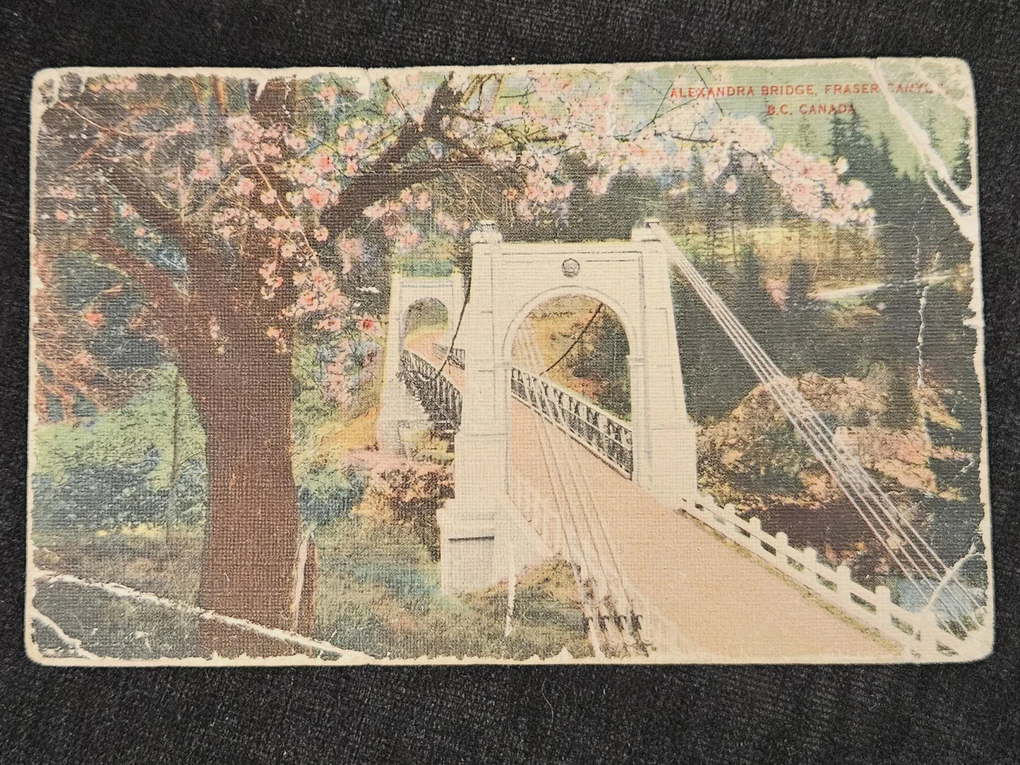 Alexandria Bridge Fraser Canyon British Columbia Canada Flowering Blossom Trees Drawing. Vintage Art Postcard