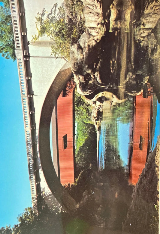Covered Bridge at Turkey Run State Park - Indiana - Photo by John Penrod - Vintage Covered Bridge Park Postcard