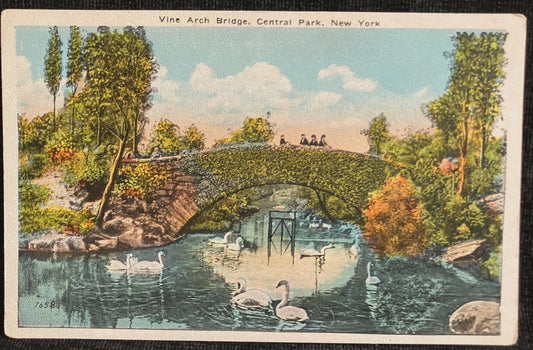 Vine Arch Bridge, Central Park, New York - Vintage Bridge Postcard