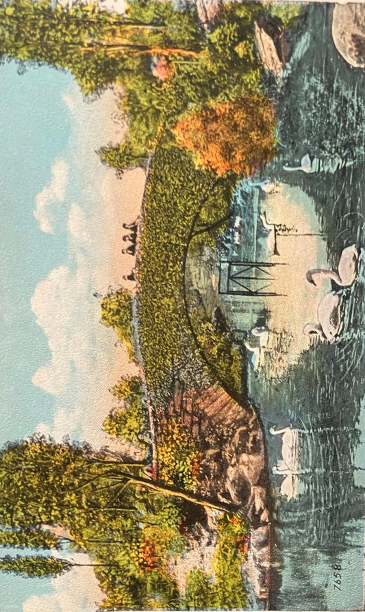 Vine Arch Bridge, Central Park, New York - Vintage Bridge Postcard