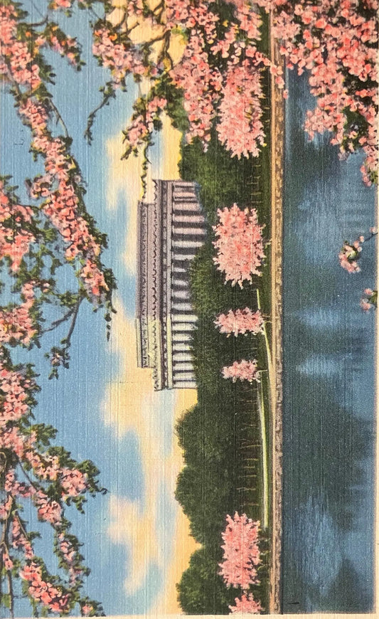 The Lincoln Memorial, Washington, D. C., Maryland -  Vintage Postcard