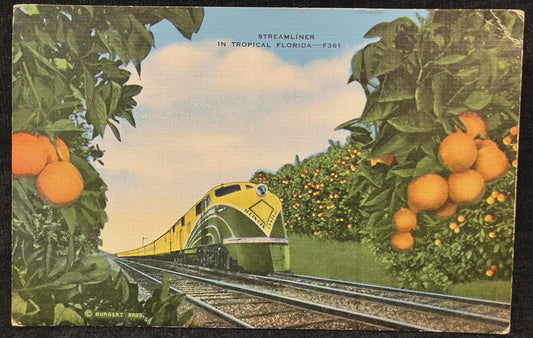 Streamliner in Tropical Florida - Vintage Postcard