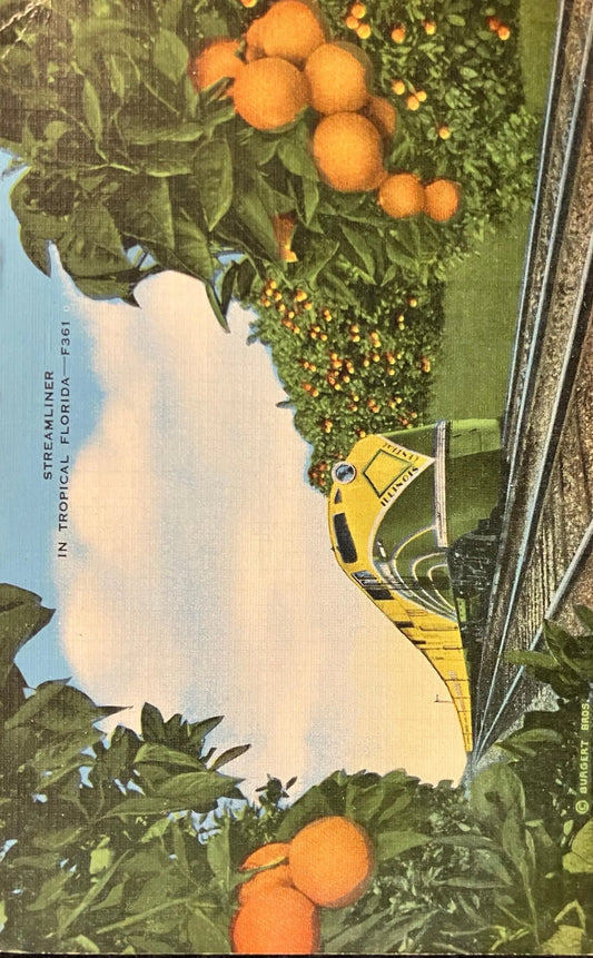 Streamliner in Tropical Florida - Vintage Postcard