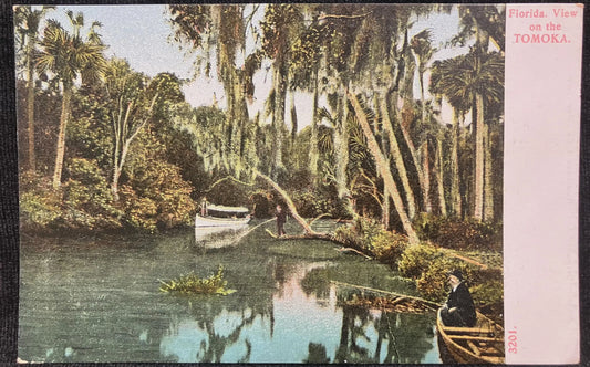 Florida View on the Tomoka - Made in Germany - Vintage Postcard