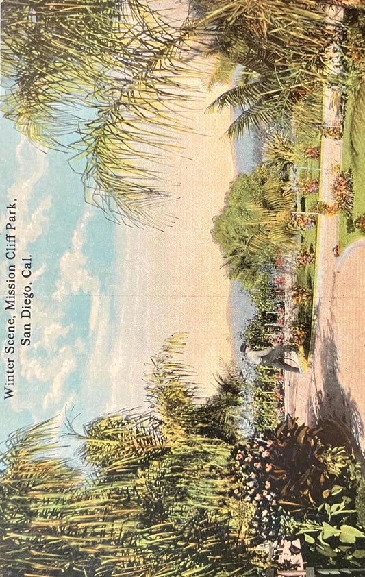 Winter Scene, Mission Cliff Park, San Diego, California - Vintage Postcard