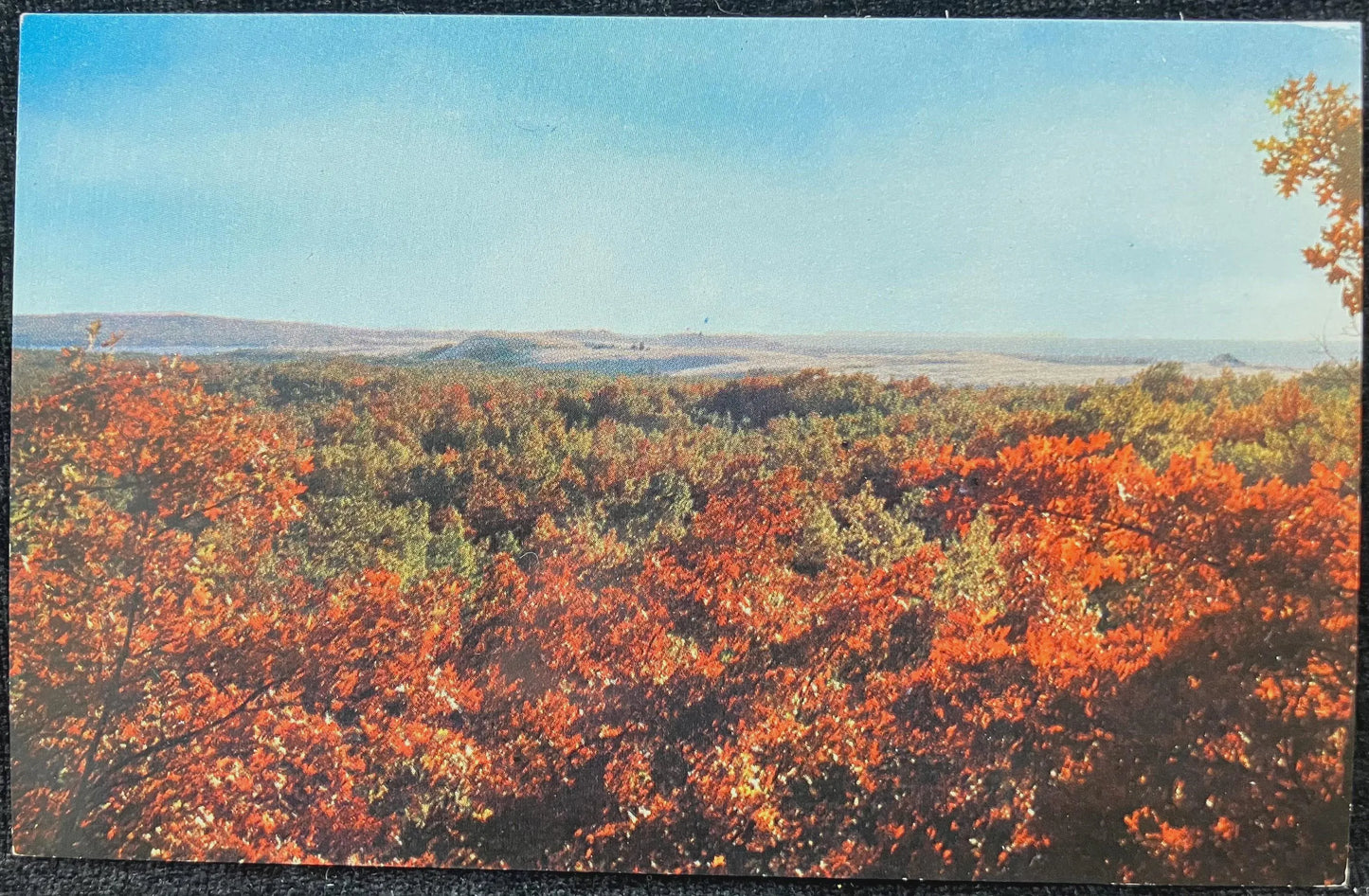 Autumn View across Silver Lake Dunes, Michigan - Anscochrome: Hoyt Louis Avery - Vintage Postcard
