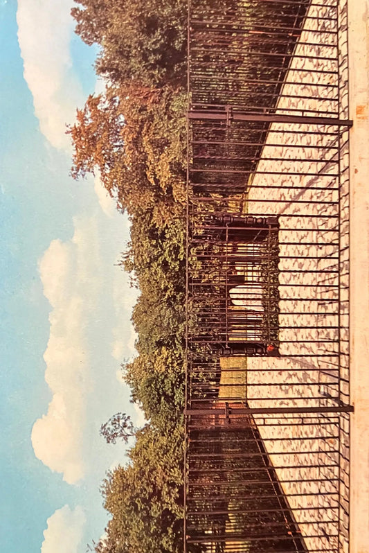 View of John Chapman’s Grave in Johnny Appleseed Park - Fort Wayne, Indiana - Photo: John V. Pontiere Jr. - Vintage Park Postcard